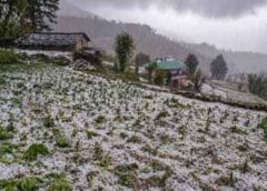 बागेश्वर में ओलावृष्टि और तेज हवाओं से फसलों को भारी नुकसान, जनजीवन प्रभावित