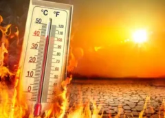 देशभर में हीटवेव का खतरा बढ़ा, कई शहरों में 45°C तक पहुंच सकता है तापमान