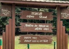 राजाजी टाइगर रिजर्व में भूमि आवंटन पर सवाल, वन गुर्जरों के नाम पर करोड़ों की जमीन में गड़बड़ी के आरोप
