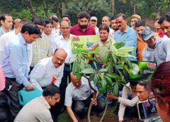 केवीएस ग्रुप ने पर्यावरण दिवस पर लगाए परिसर में 250 पौधे