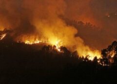 फायर सीजन में धू-धूकर जले उत्तराखंड के जंगल, पिछले वर्ष के मुकाबले 90% से अधिक बढ़ा नुकसान