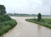 लगातार हो रही बारिश के चलते क्षेत्र की ढेला नदी का जलस्तर बढ़ा