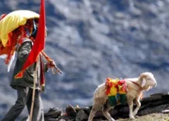 नंदा देवी बड़ी जात को लेकर चमोली के गांवों में लौटी रौनक, प्रवासियों की घर वापसी शुरू